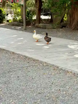 平塚八幡宮の{uncategorized: "未分類", other: "その他", undefined: "問題あり", building: "その他建物", grave: "お墓", sacred_gate: "鳥居", guardian: "狛犬", statue: "像", buddha: "仏像", history: "歴史", nature: "自然", garden: "庭園", animal: "動物", pagoda: "塔", temizu: "手水舎", mountain_gate: "山門・神門", sanctuary: "本殿・本堂", subordinate: "末社・摂社", art: "芸術", scenery: "景色", jizo: "地蔵", ema: "絵馬", goshuin: "御朱印", omikuji: "おみくじ", items: "授与品その他", amulet: "お守り", goshuincho: "御朱印帳", eats: "食事", festival: "お祭り", votive_dance: "神楽", shichigosan: "七五三参", wedding: "結婚式", experience: "体験その他", initially: "初詣", around: "周辺", anti_infection: "感染症対策"}