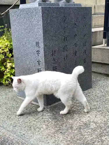 今戸神社(東京都)