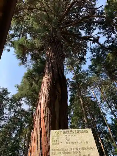 白山神社の自然