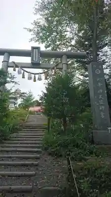 天津神大龍神宮の鳥居