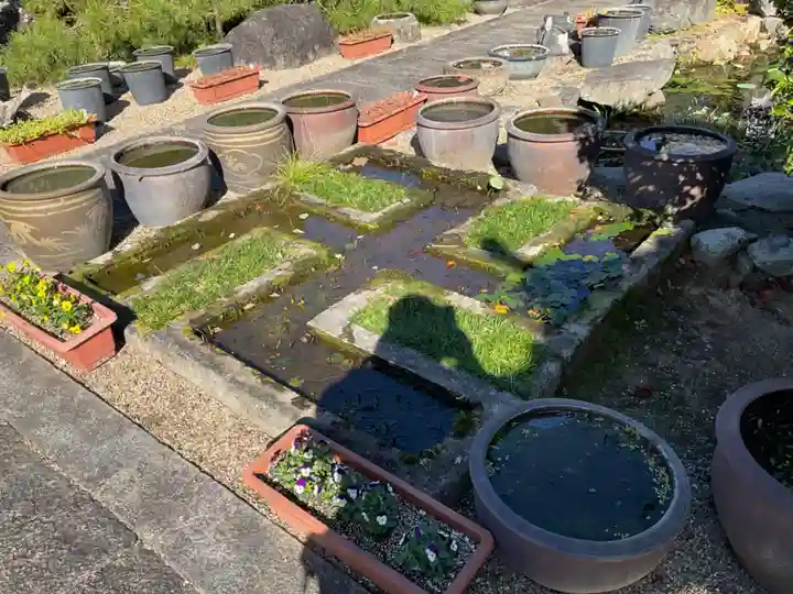 大圓寺(大円寺)(京都府)