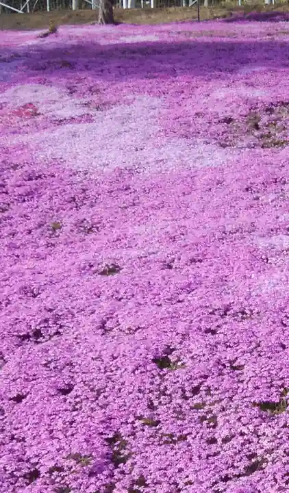 滝上神社の自然