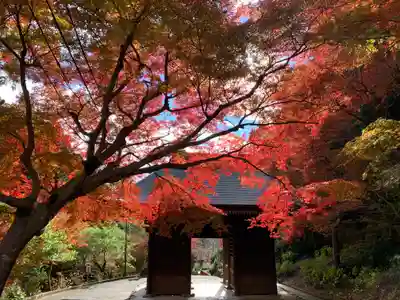 普門寺(切り絵御朱印発祥の寺)の山門・神門