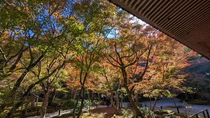圓光寺(京都府)
