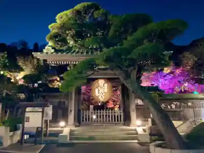 長谷寺の山門・神門