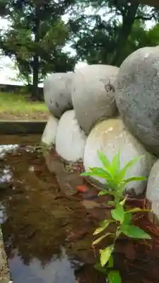 八龍社(稲島)のその他建物