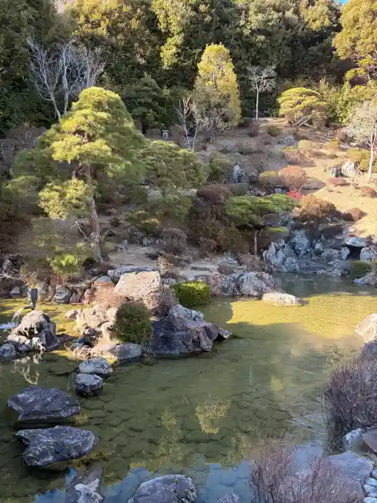 能仁寺の{uncategorized: "未分類", other: "その他", undefined: "問題あり", building: "その他建物", grave: "お墓", sacred_gate: "鳥居", guardian: "狛犬", statue: "像", buddha: "仏像", history: "歴史", nature: "自然", garden: "庭園", animal: "動物", pagoda: "塔", temizu: "手水舎", mountain_gate: "山門・神門", sanctuary: "本殿・本堂", subordinate: "末社・摂社", art: "芸術", scenery: "景色", jizo: "地蔵", ema: "絵馬", goshuin: "御朱印", omikuji: "おみくじ", items: "授与品その他", amulet: "お守り", goshuincho: "御朱印帳", eats: "食事", festival: "お祭り", votive_dance: "神楽", shichigosan: "七五三参", wedding: "結婚式", experience: "体験その他", initially: "初詣", around: "周辺", anti_infection: "感染症対策"}