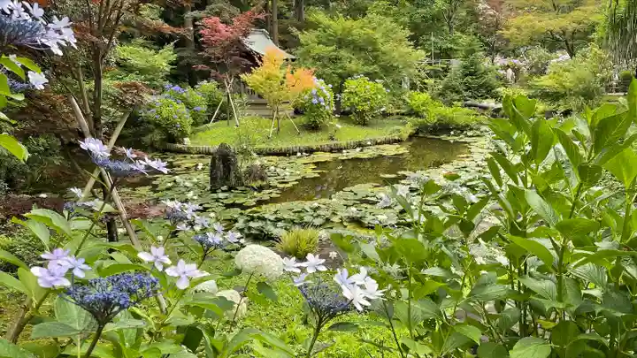 本土寺の庭園
