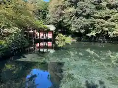 富士山本宮浅間大社(静岡県)