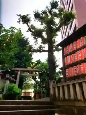 池尻稲荷神社(東京都)