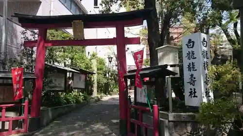 洲嵜神社(愛知県)
