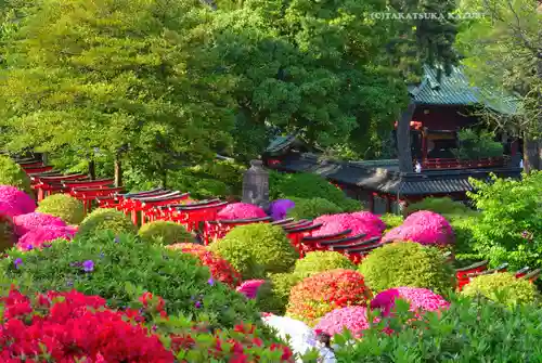 根津神社(東京都)