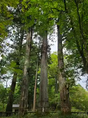 瀧尾神社（日光二荒山神社別宮）(栃木県)