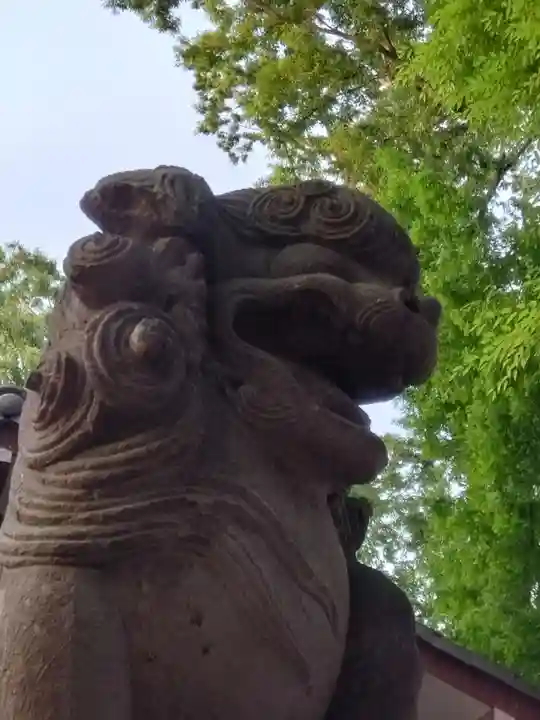 神明大神(中丸子神社)(神奈川県)