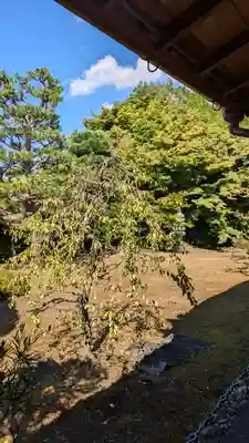 清凉院(京都府)