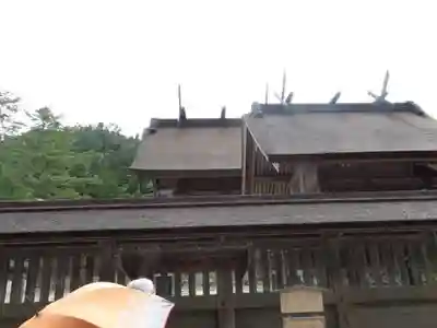 出雲大社の本殿・本堂