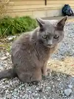佐野赤城神社(栃木県)