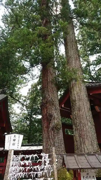 日光二荒山神社の自然