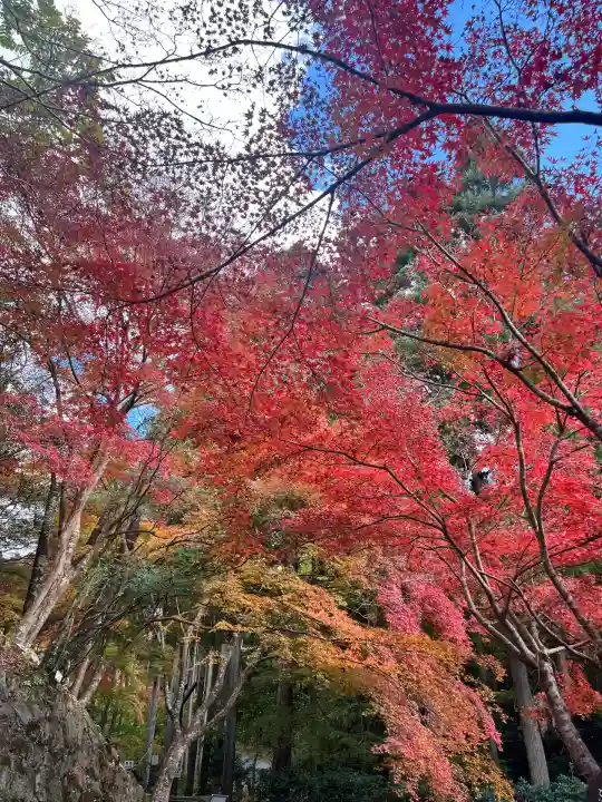神峯山寺(大阪府)