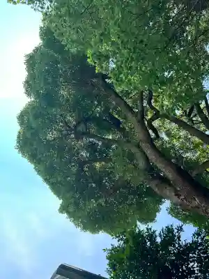日枝神社(東京都)