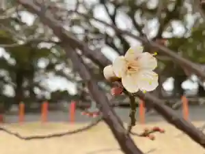 美奈宜神社(福岡県)(2023年02月07日(火) 10時58分01秒投稿)