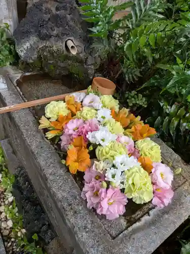 本郷氷川神社(東京都)