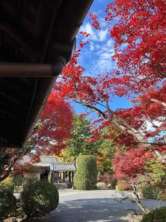 神光院(京都府)