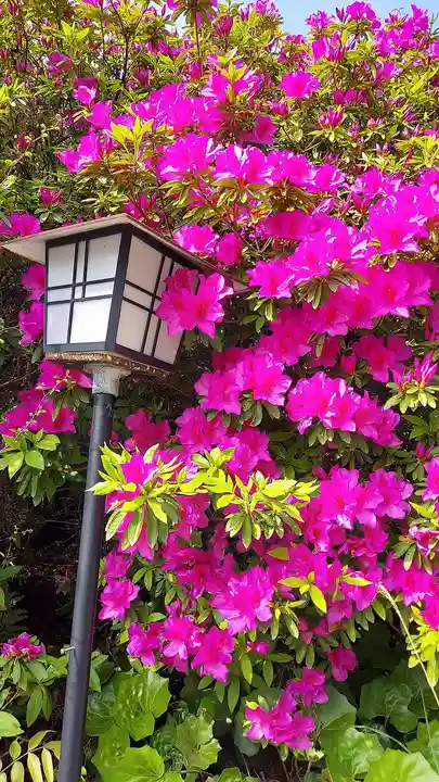 忌宮神社(山口県)