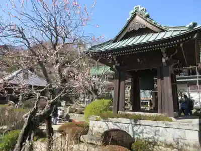 海蔵寺のその他建物