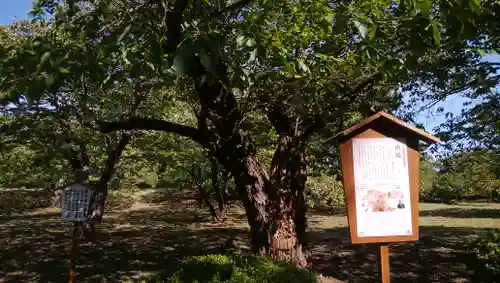 松前神社の自然