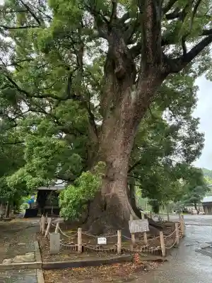 天地神社(静岡県)