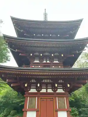 岡寺(龍蓋寺)(奈良県)
