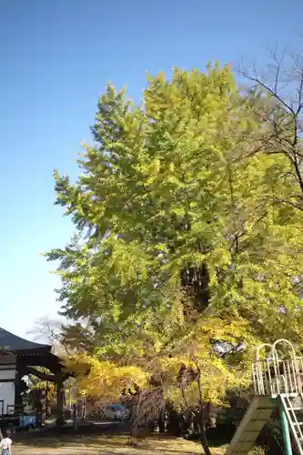 弘法山観世音の庭園