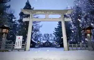 鷹栖神社の本殿・本堂(2023年11月24日(金) 20時06分31秒投稿)