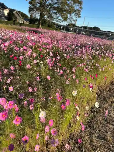 小國神社(静岡県)