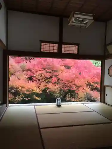 安國寺の本殿・本堂