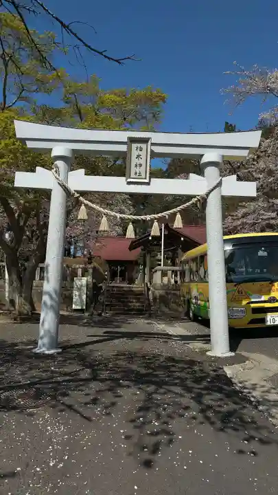 柏木神社の鳥居