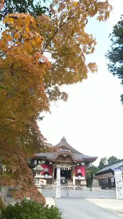 高尾神社の本殿