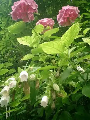御霊神社の自然