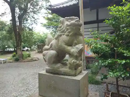 佐野原神社の狛犬