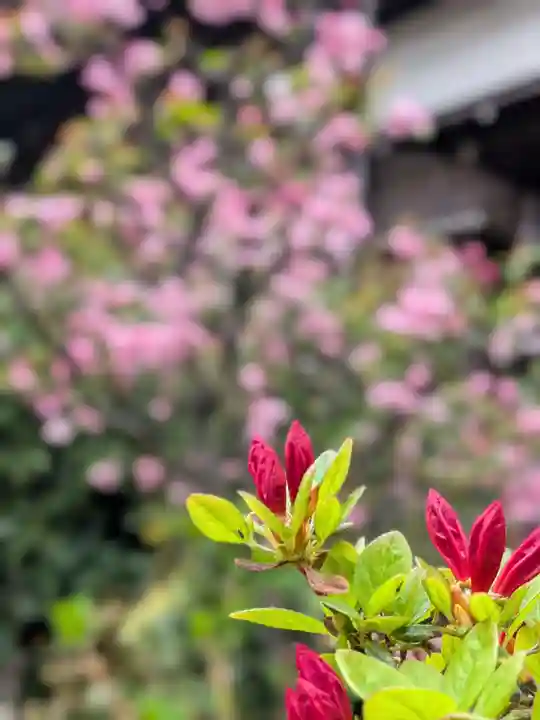 本郷氷川神社(東京都)