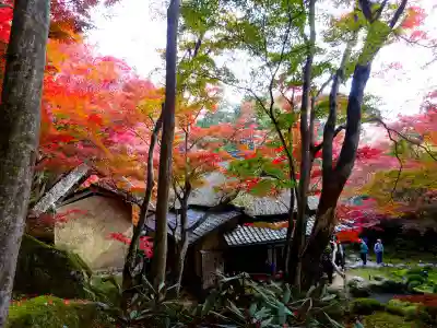 教林坊(滋賀県)