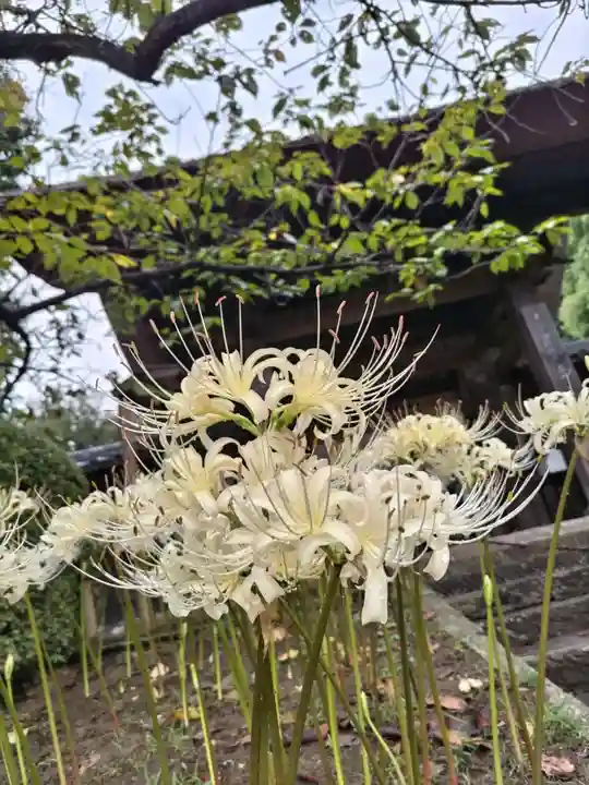 横浜 西方寺(神奈川県)