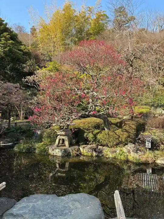 長谷寺の{uncategorized: "未分類", other: "その他", undefined: "問題あり", building: "その他建物", grave: "お墓", sacred_gate: "鳥居", guardian: "狛犬", statue: "像", buddha: "仏像", history: "歴史", nature: "自然", garden: "庭園", animal: "動物", pagoda: "塔", temizu: "手水舎", mountain_gate: "山門・神門", sanctuary: "本殿・本堂", subordinate: "末社・摂社", art: "芸術", scenery: "景色", jizo: "地蔵", ema: "絵馬", goshuin: "御朱印", omikuji: "おみくじ", items: "授与品その他", amulet: "お守り", goshuincho: "御朱印帳", eats: "食事", festival: "お祭り", votive_dance: "神楽", shichigosan: "七五三参", wedding: "結婚式", experience: "体験その他", initially: "初詣", around: "周辺", anti_infection: "感染症対策"}