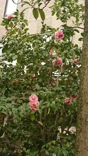 伊勢神社の自然