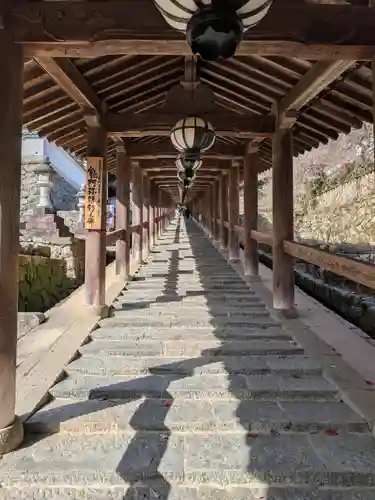 長谷寺(奈良県)