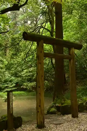 平泉寺白山神社(福井県)