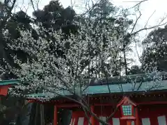 相州春日神社の自然