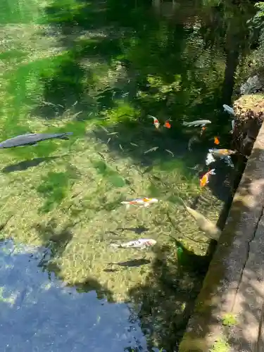 涌釜神社(栃木県)