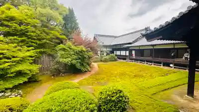 隨心院(随心院)(京都府)